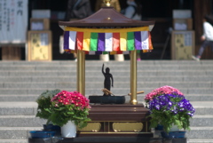 深川不動尊