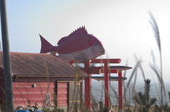 鳥居ですタイ！