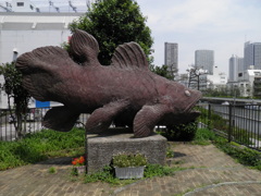 深川シーラカンス