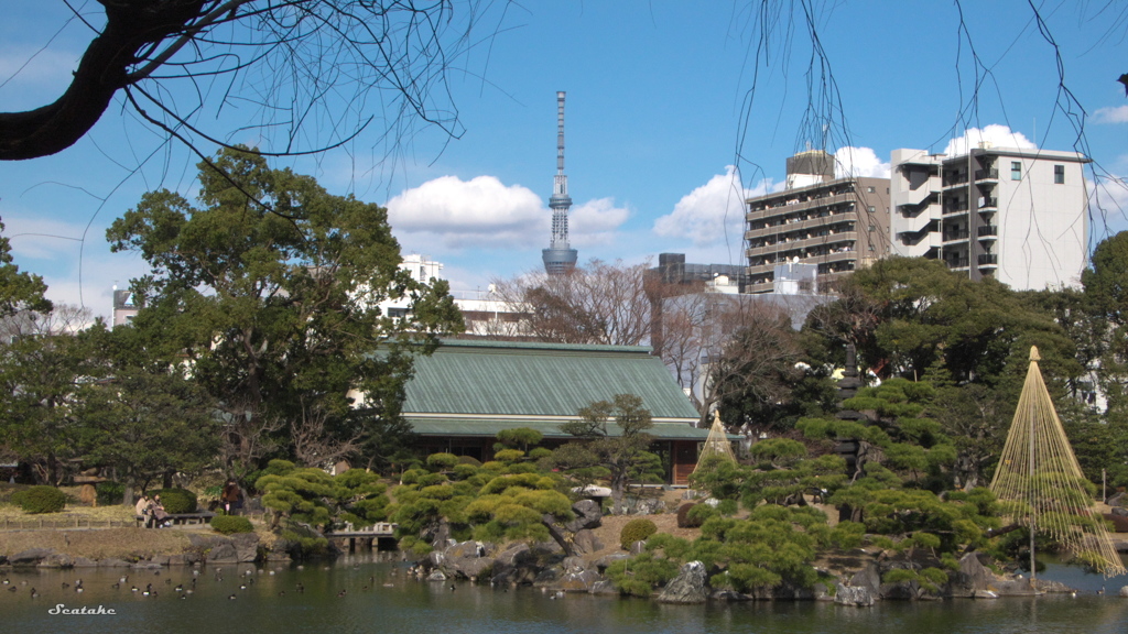 庭園と街