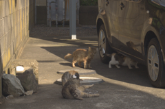 たまり場