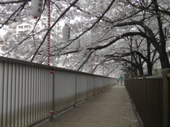 川に沿って