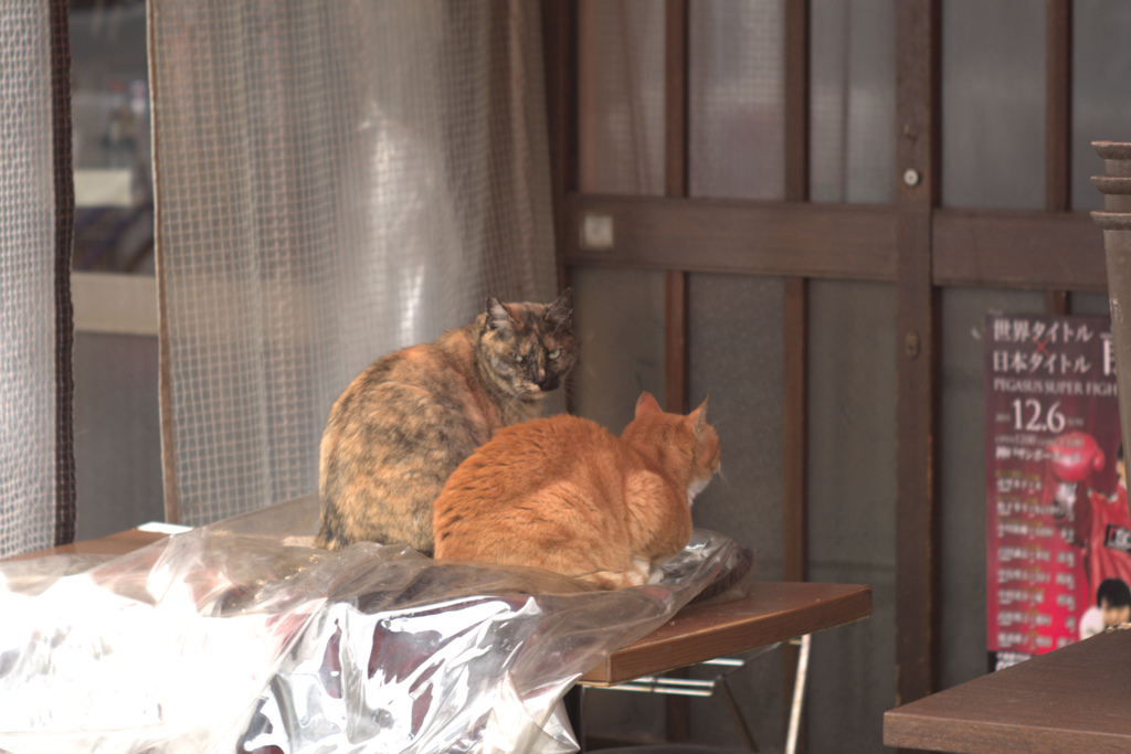 ジャマすんなっ！
