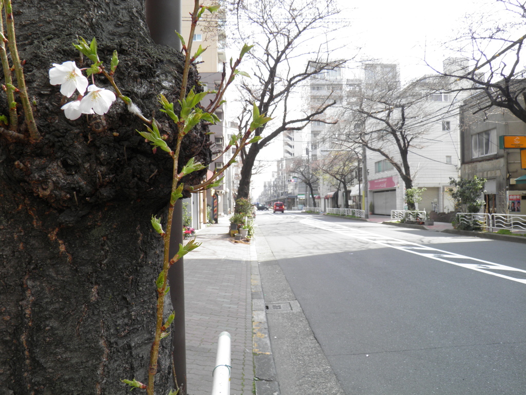 気の早いヤツ