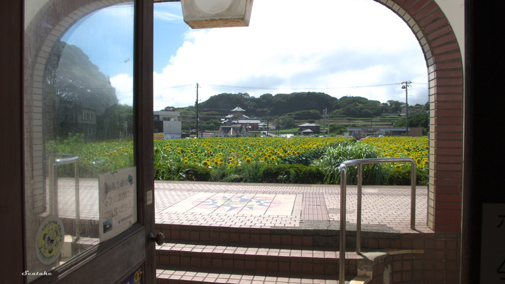 花一面