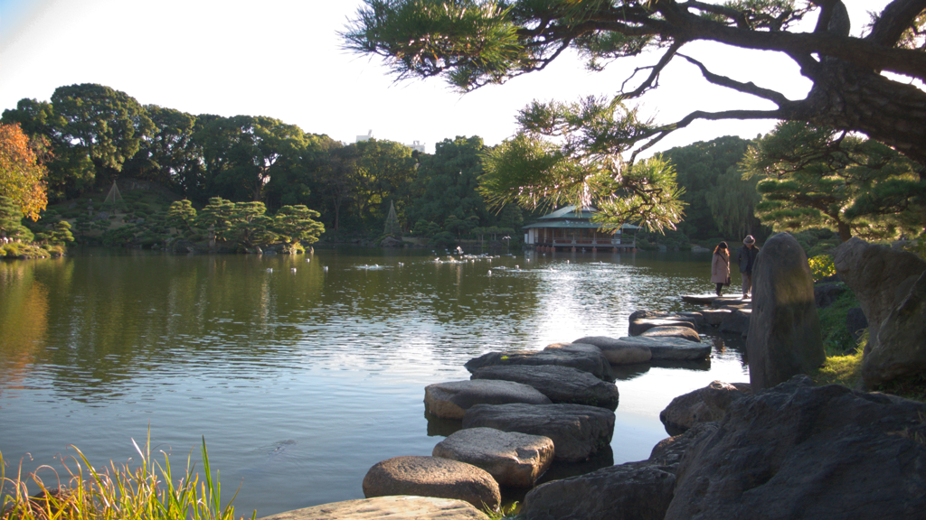 清澄庭園・池