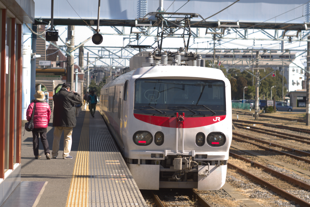 ドクターホワイト？