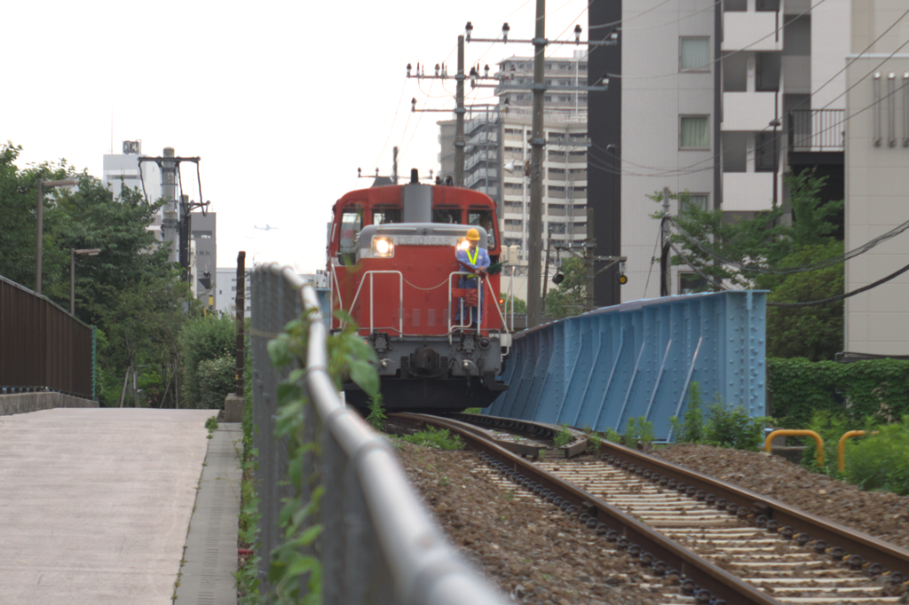 見れるとラッキー