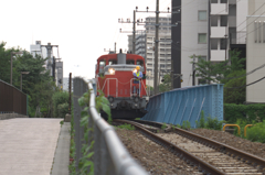 見れるとラッキー