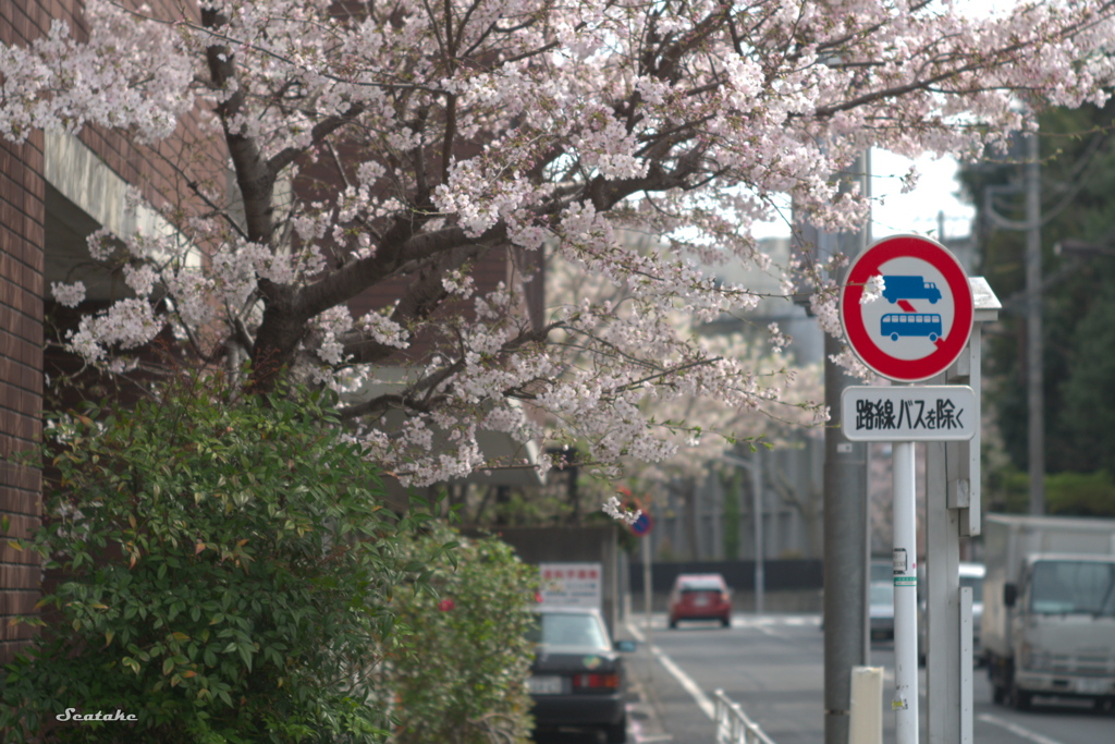 上野公園周辺