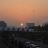 台場の夕日