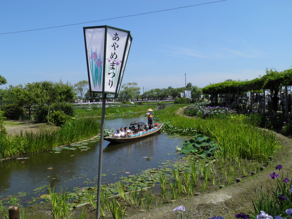 佐原あやめまつり