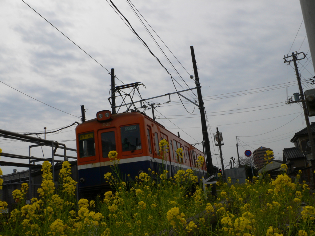 春の電車