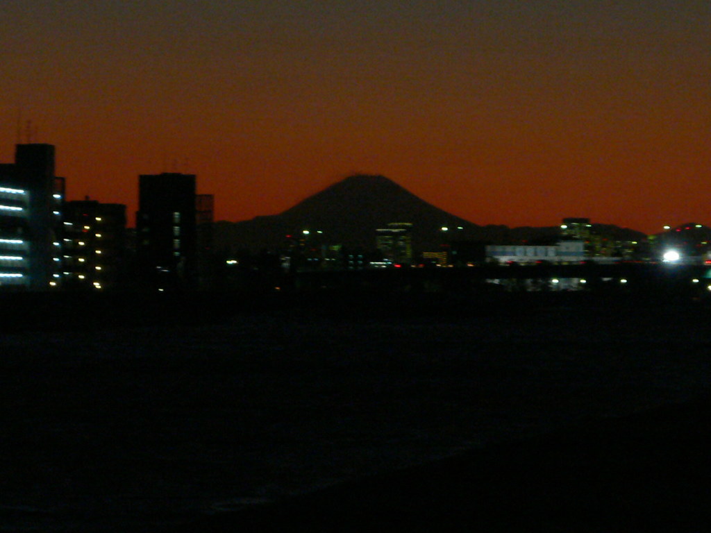 江戸川から夜の富士