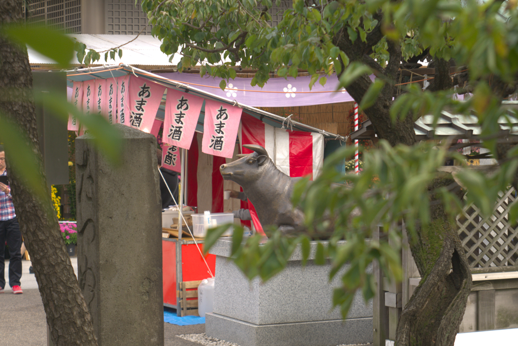 湯島天神・牛