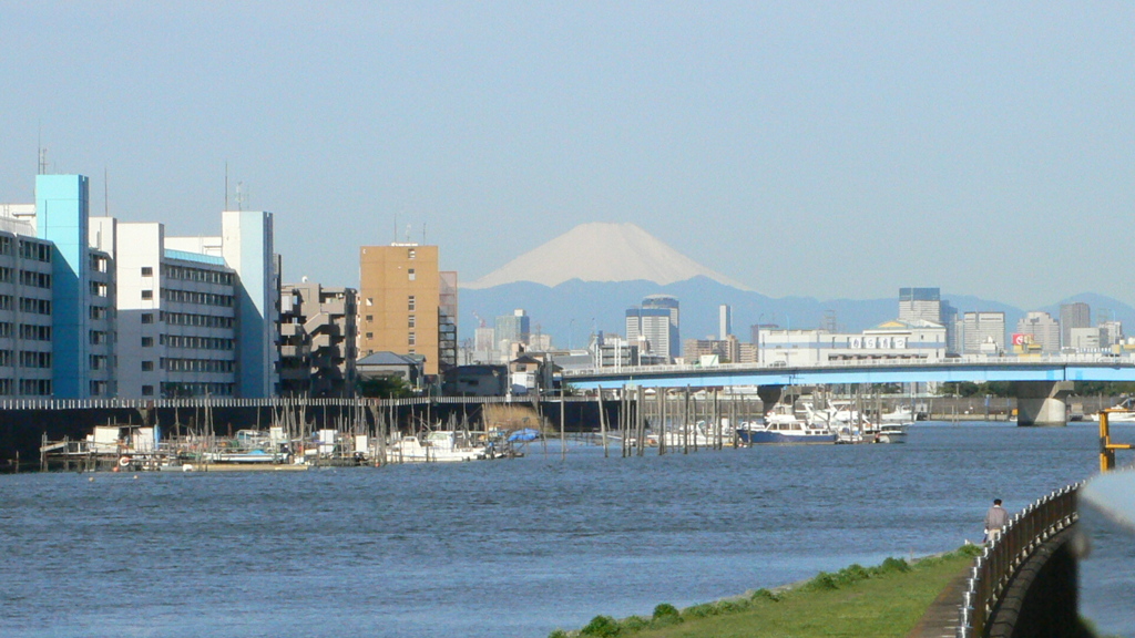江戸川から朝の富士山