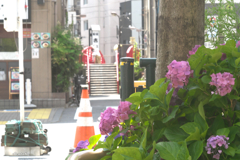 200620P1200761