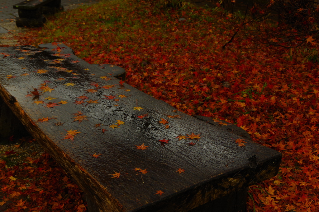 紅ベンチ