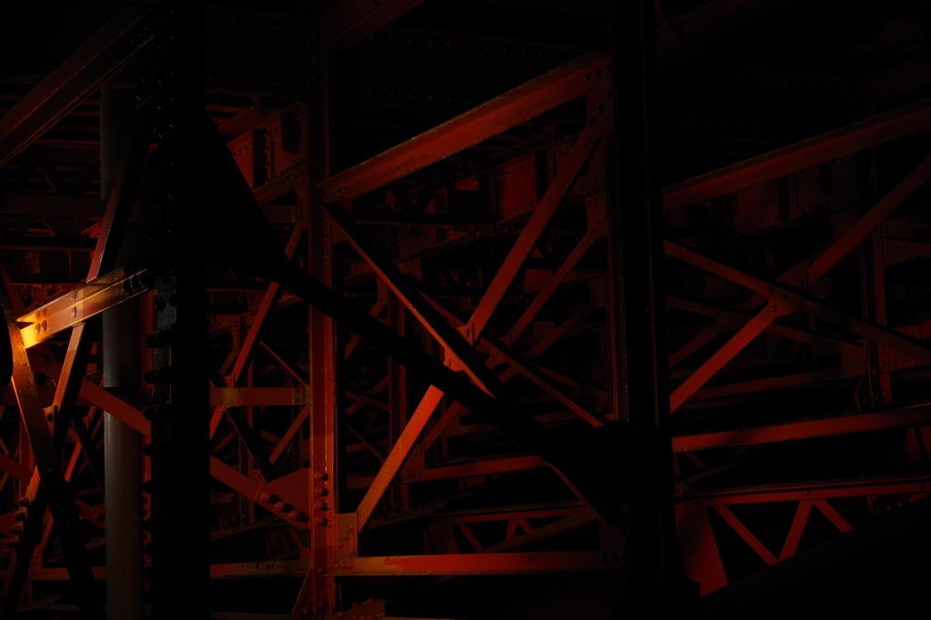 bridge's bone