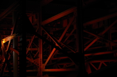 bridge's bone