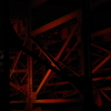 bridge's bone