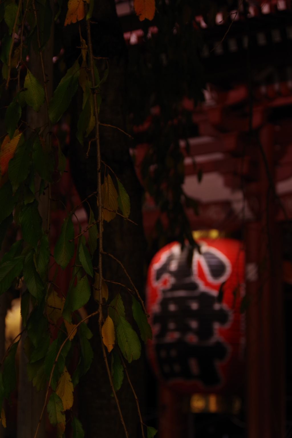 IMGP1447-2