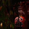 IMGP1447-2