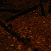 yellow carpet