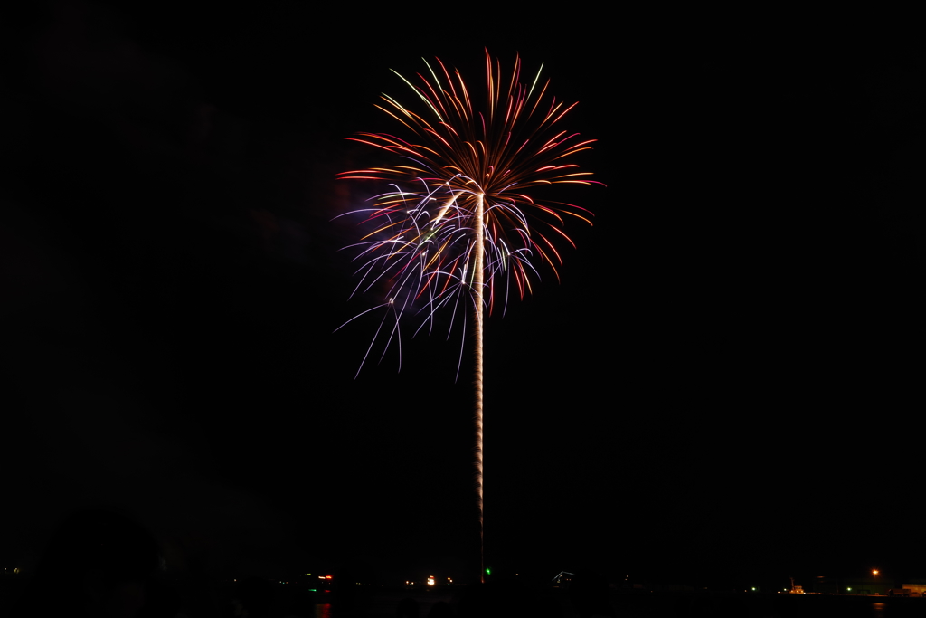 hanabi@久里浜2
