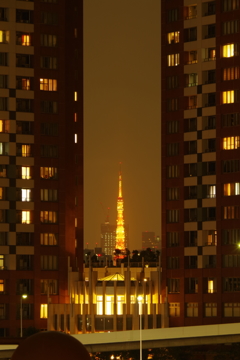 タワーのぞき