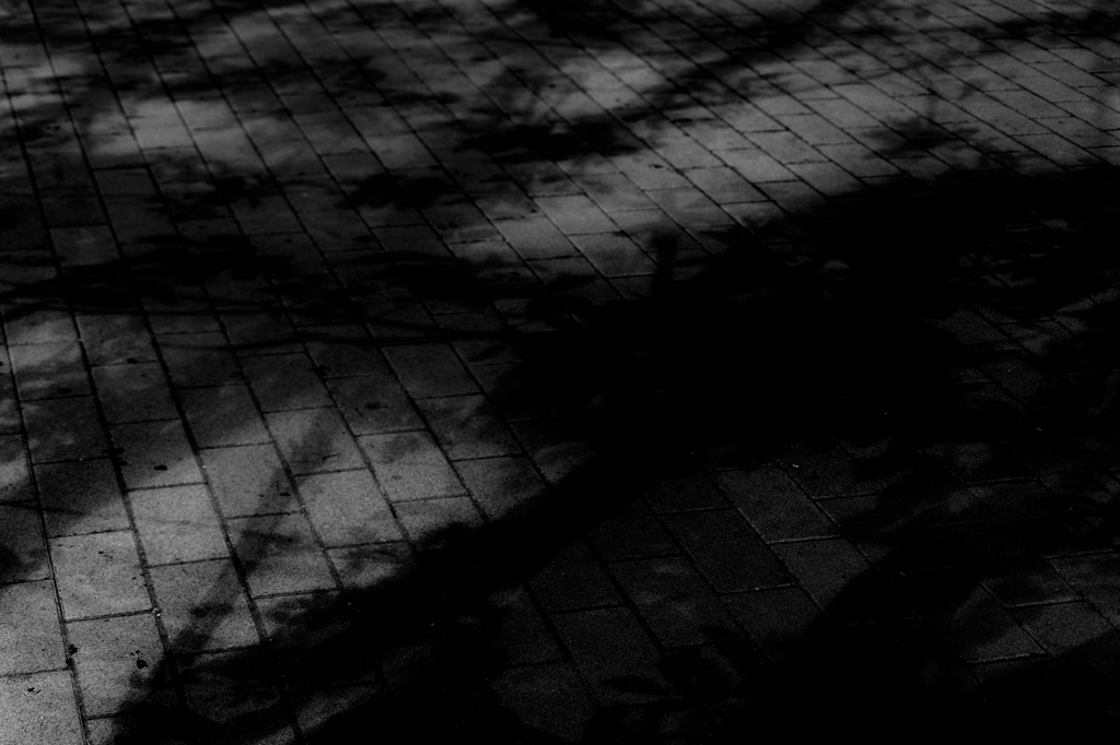 night shadow