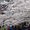 鈴鹿　Ｆ１　2024