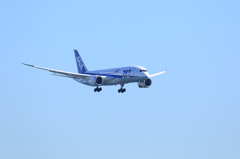 大空に羽ばたく翼