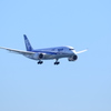 大空に羽ばたく翼