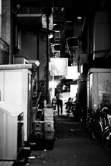 ミラーレスデビュー