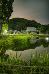 寒さ際立つ池