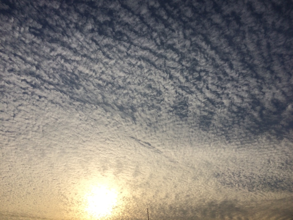 空