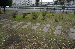 公園にて