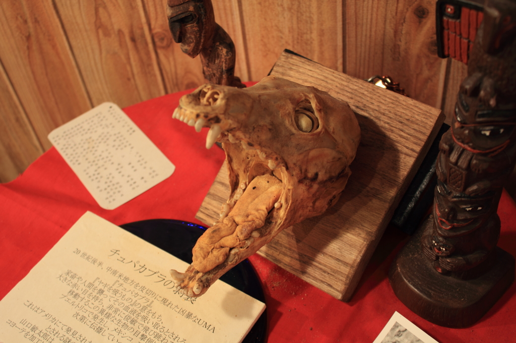 UMA チュパカブラ