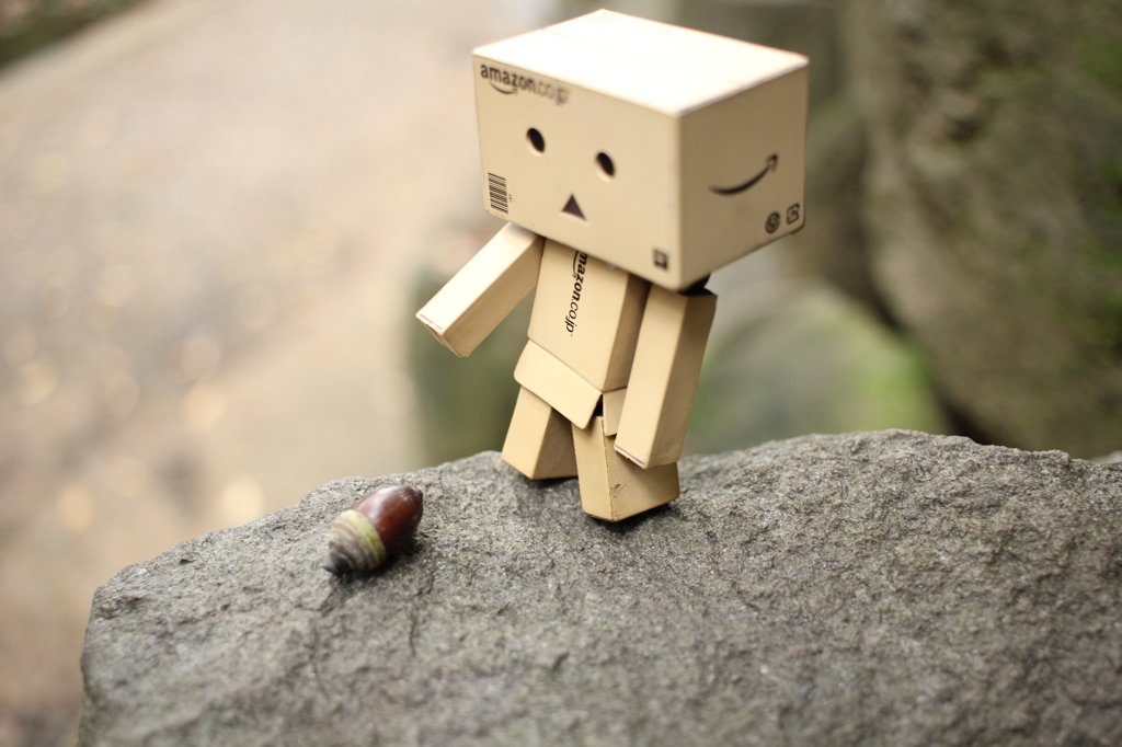 小さい秋を見つけた...