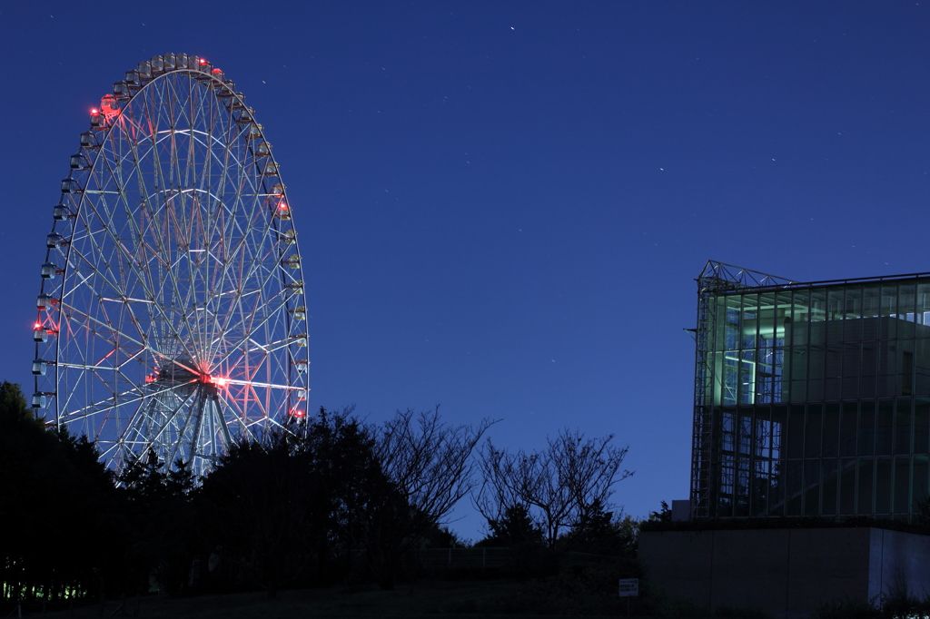 真夜中の観覧車