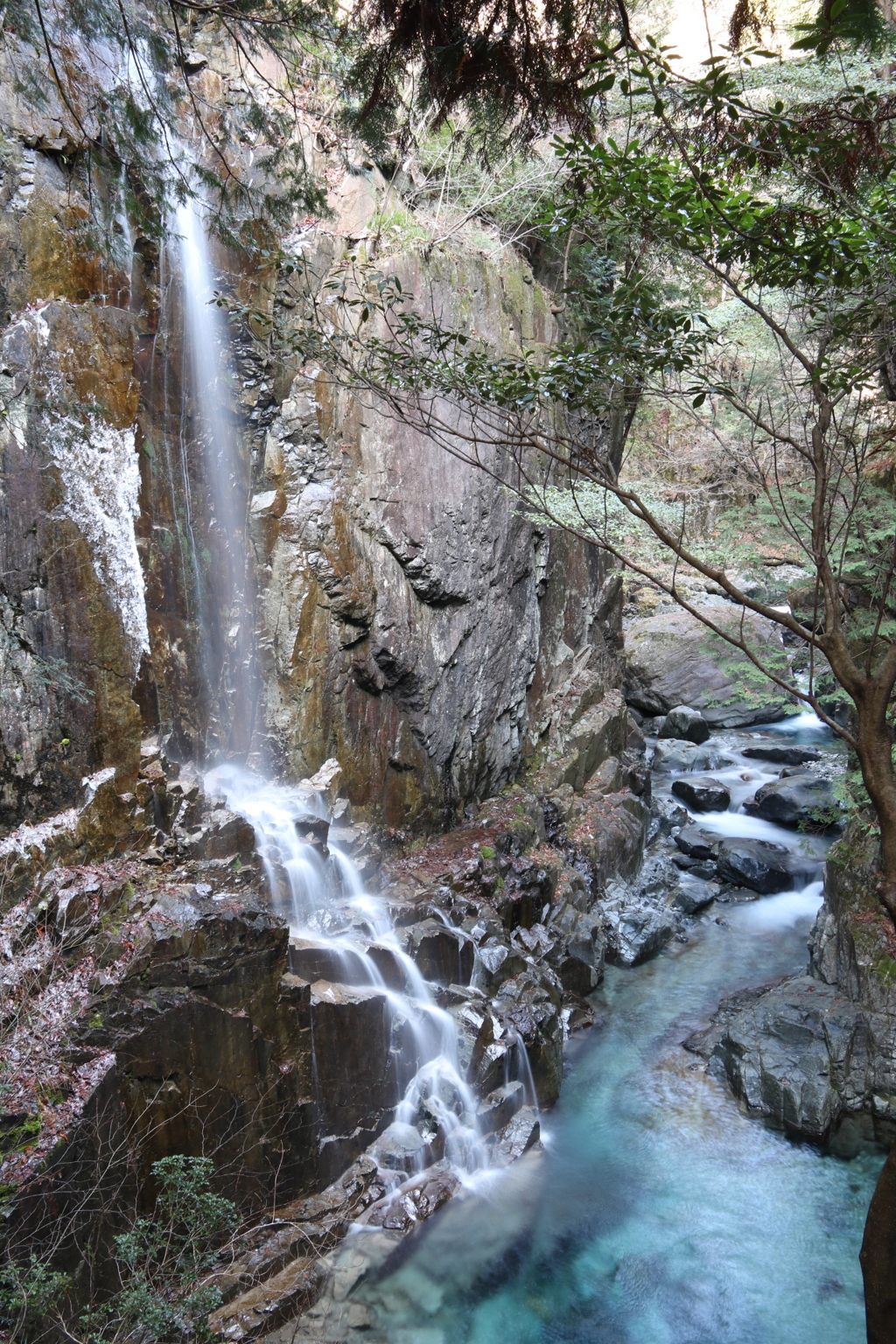 滝