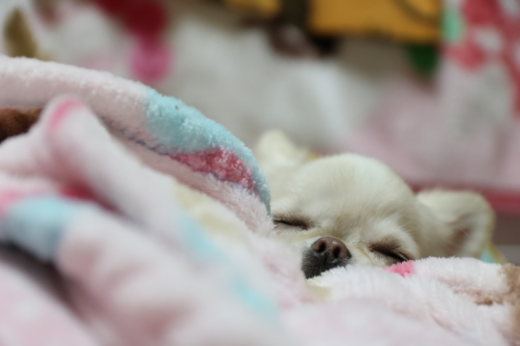可愛い？知ってる♡
