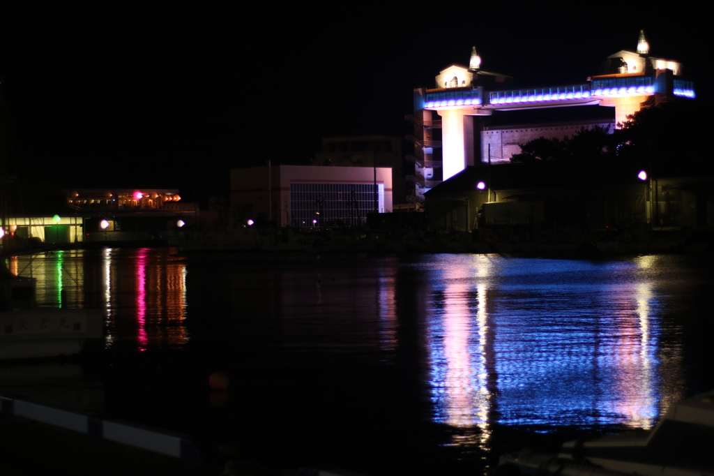 沼津港