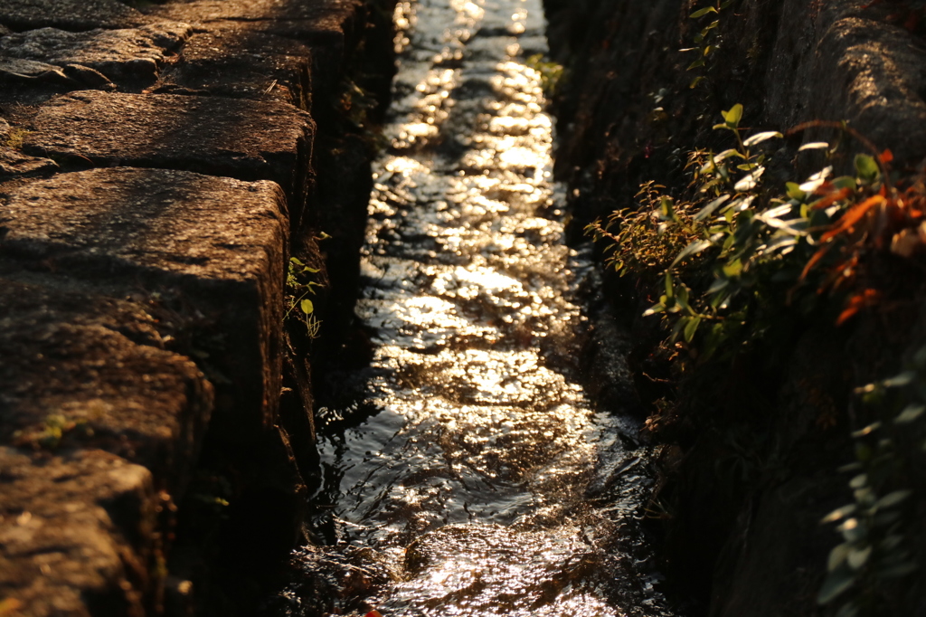 輝く水路。