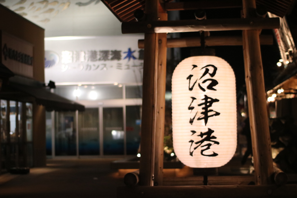 沼津港