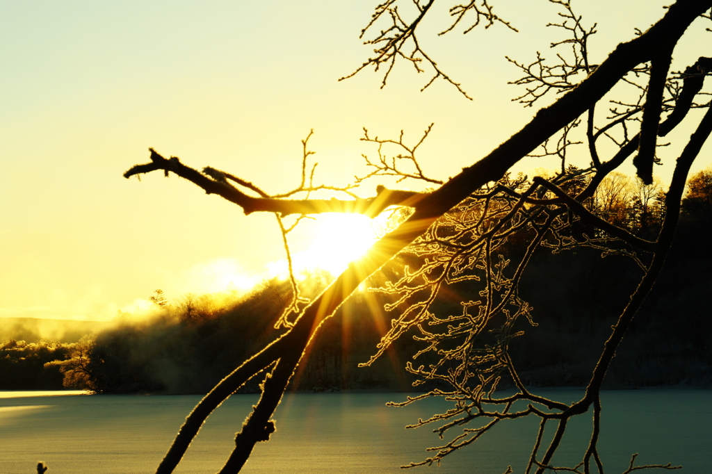 朝陽と樹氷