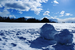 雪だるまと雪原