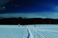 雪原の小道から