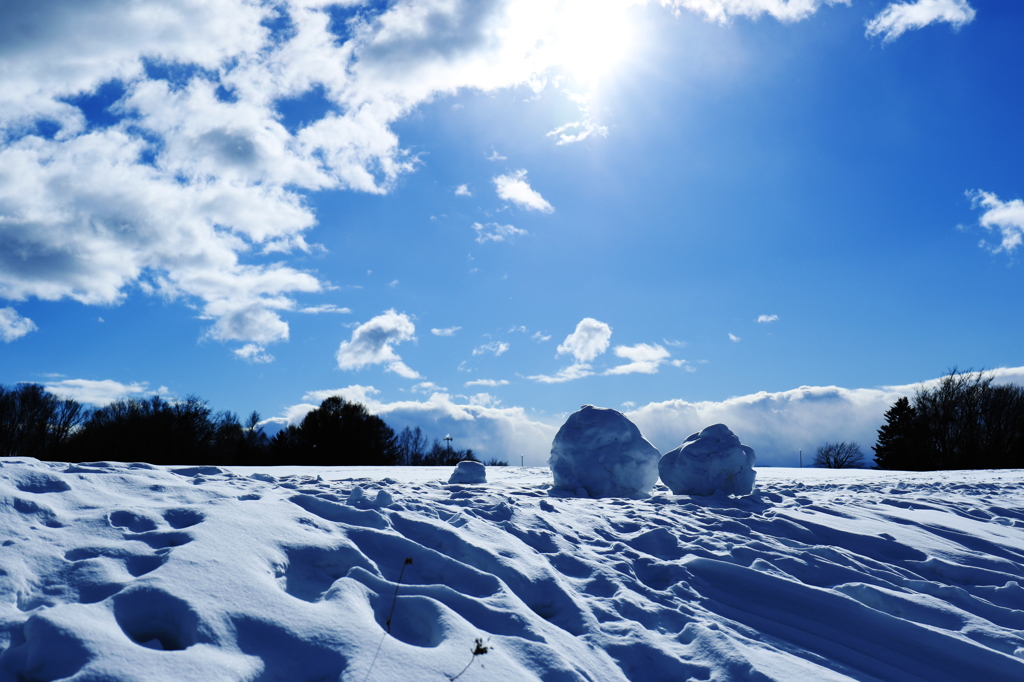 雪だるまと雪原